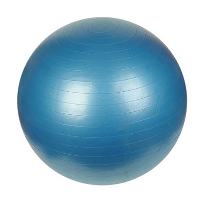 000-350 - Sunny Health and Fitness 75CM Anti-Burst Gym Ball