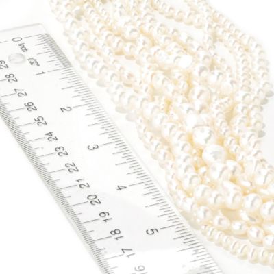 Scale