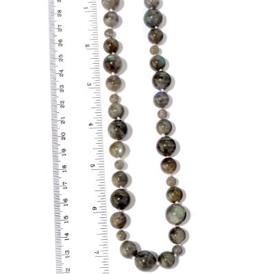 Scale