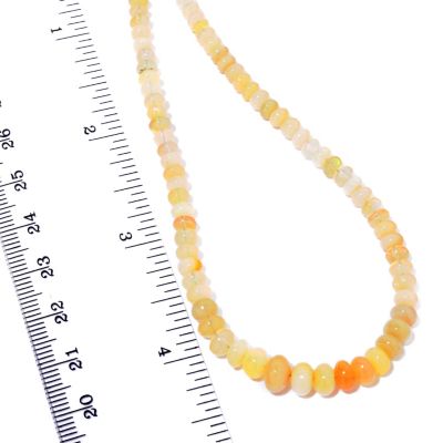 Scale