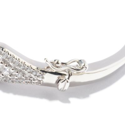 Clasp