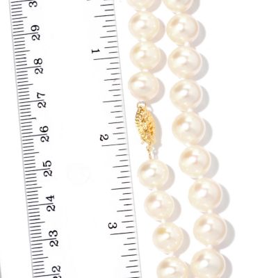 Scale