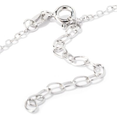 Clasp