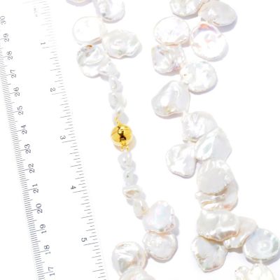 Scale