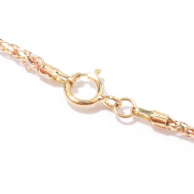 Clasp