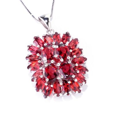 GARNET