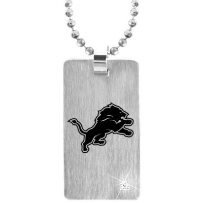 DETROIT LIONS