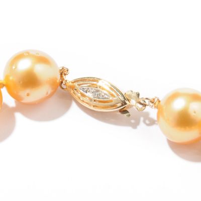 Clasp