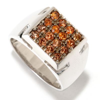 MEN'S - SS/PALL RING 16-STONE EXOTIC GEM
