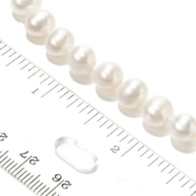 Scale