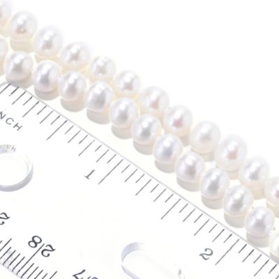 Scale