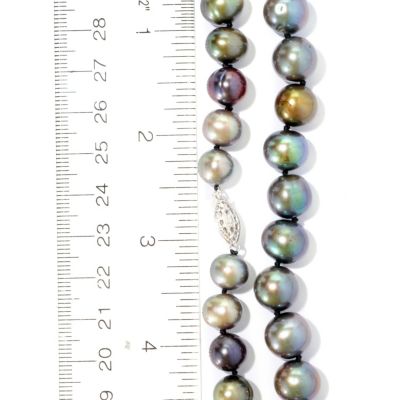 Scale