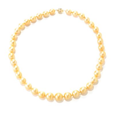 126-941 - 14K Gold 18'' 9-11mm Round Golden South Sea Cultured Pearl Necklace