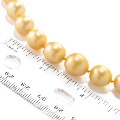 Scale