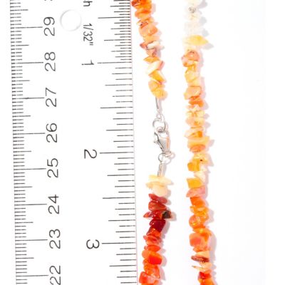 Scale