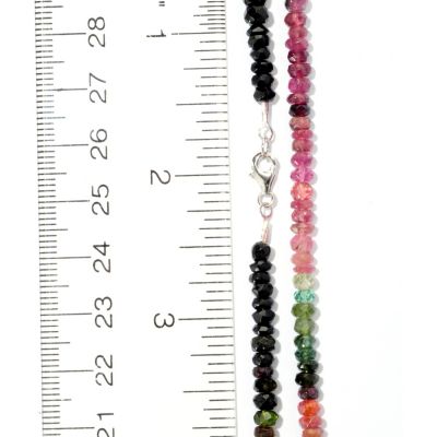 Scale