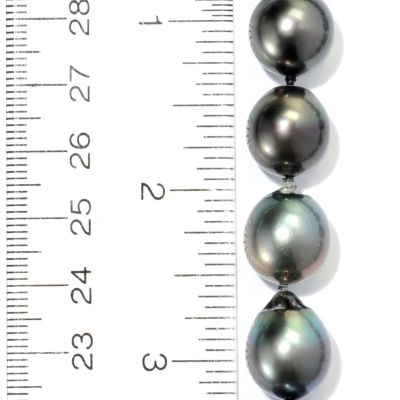 11-13mm Scale