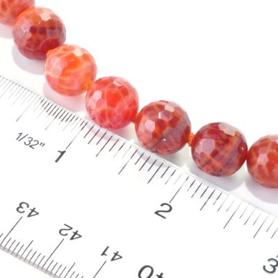 Scale
