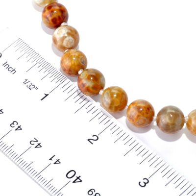 Scale