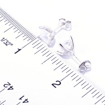 Scale