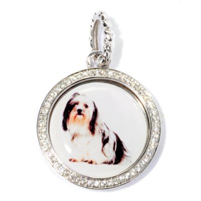 SHIH TZU