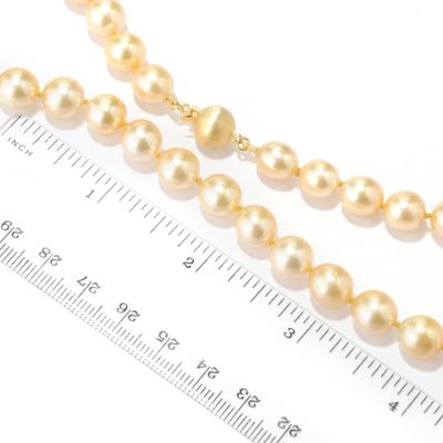 Scale