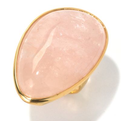 131-113 - Gems of Distinction 33.5 x 21.5mm Morganite Polished Ring 