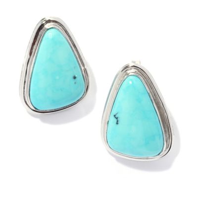 131-840 - Gem Insider Sterling Silver 10 x 10mm Blue Moon Turquoise Triangle Earrings