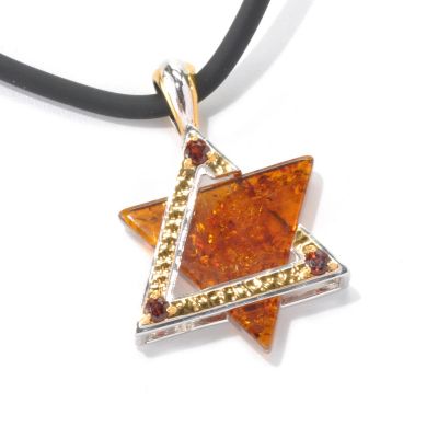 132-462 - Men's en Vogue II 25mm Baltic Amber & Garnet Star of David Pendant w/ 22" Rubber Cord