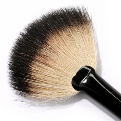 Brush
