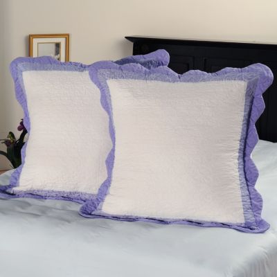 Euro Sham Pair
