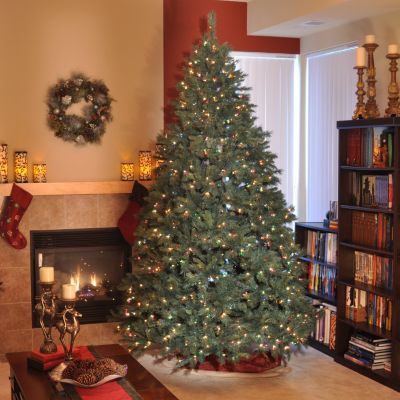 Both Multicolor and White Lights