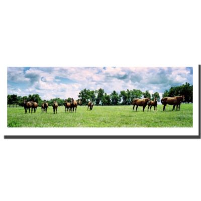 411-091 - Preston Reproduction 8” x 24” Painting on Canvas