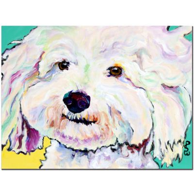 BUTTONS BY PAT SAUNDERS-WHITE 18X24 CANVAS READY TO HANG!