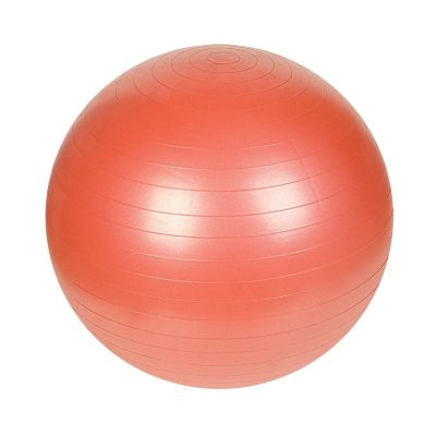 415-442 - Sunny Health and Fitness 55CM Anti-Burst Gym Ball