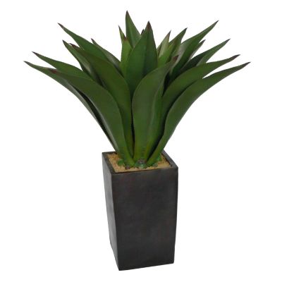 417-176 - Laura Ashley Faux Realistic Giant Aloe Plant 