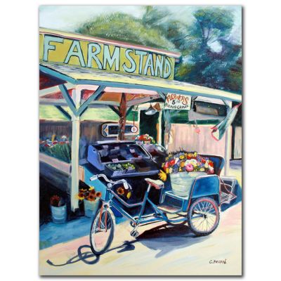 419-340 - Framstand Bike by Colleen Proppe Reproduction 24” x 32” Painting on Canvas
