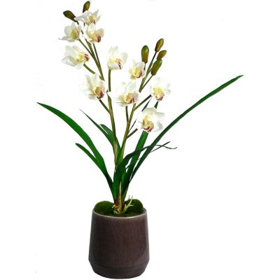 420-775 - Laura Ashley Faux Silk Orchid Arrangement w/ Leaves & Moss in Elegant Planter