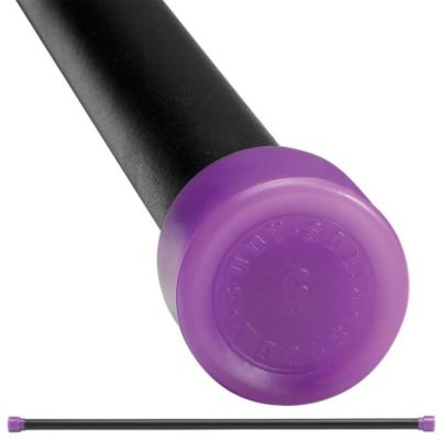 Body-Solid Tools BSTFB6 6LB Fitness Bar
