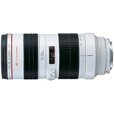 422-138 - Canon EF 70-200mm f/2.8L USM w/ Case & Lens Hood