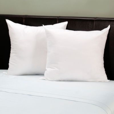 Set of 2 Euro Pillows