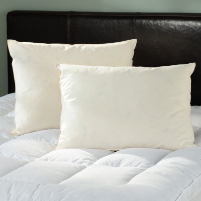 NORTH SHORE LINENS SET OF 2 260TC COTTON FEATHER PILLOWS