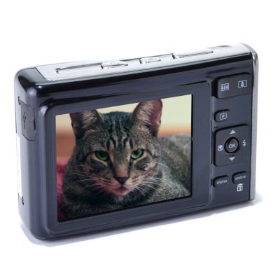 Screen