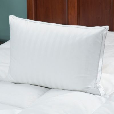 North Shore Linens 350TC Outer Down Compartment Pillow