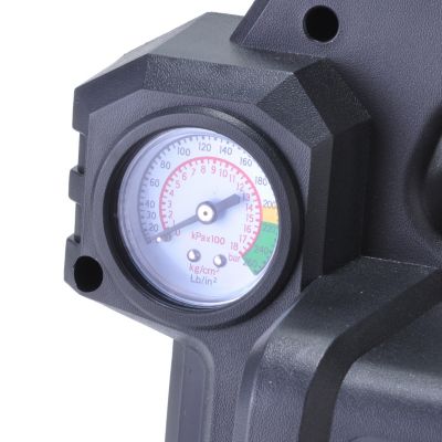 Gauge