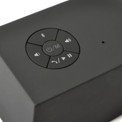 Speaker Controls