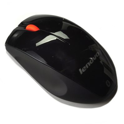 Mouse