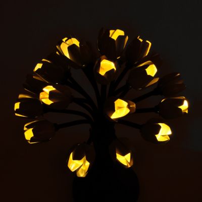 Lit in dark