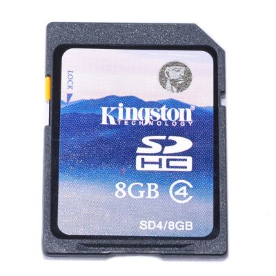 8GB SD Card