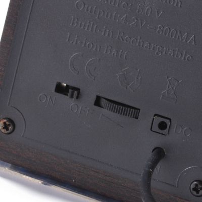 Speaker Back